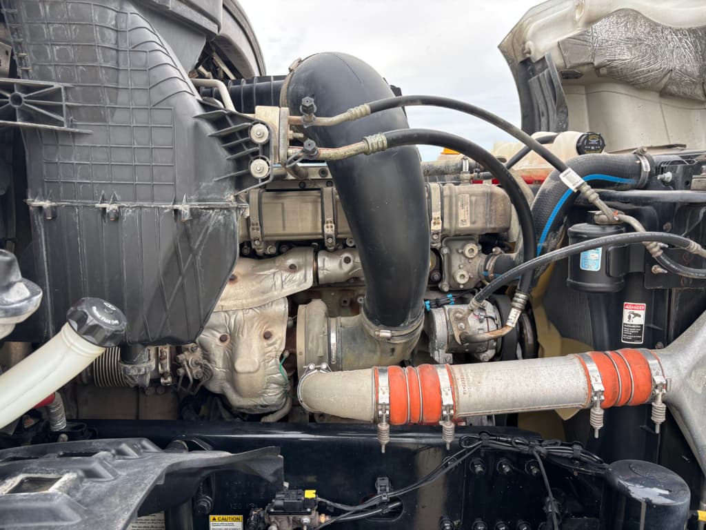 2019 Freightliner